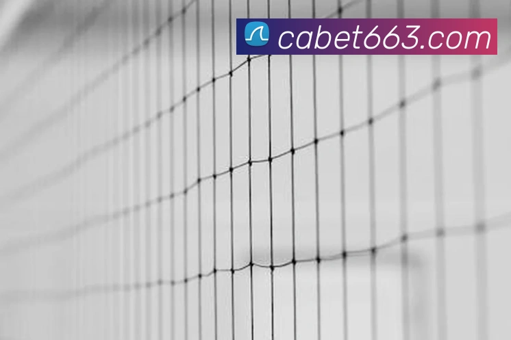 ca亚洲城全站App